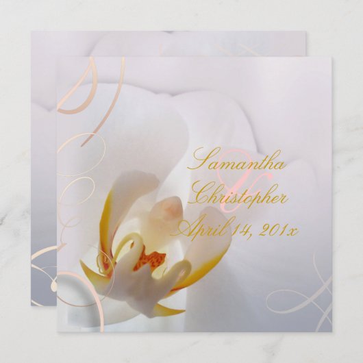 Invitation Orchidée blanche de Pix-Dezines| Rose pâle + blanc (Devant / Derrière)