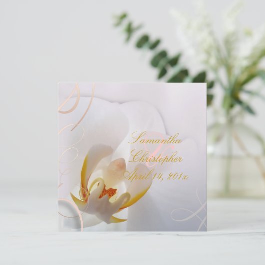 Invitation Orchidée blanche de Pix-Dezines| Rose pâle + blanc (Debout devant)