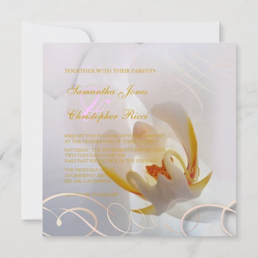 Invitation Orchidée blanche de Pix-Dezines| Rose pâle + blanc (Dos)