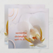 Invitation Orchidée blanche de Pix-Dezines| Rose pâle + blanc (Devant / Derrière)