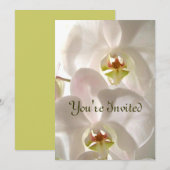 Invitation Orchidées blanches_ (Devant / Derrière)
