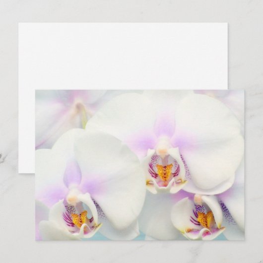 Invitation Orchidées Blanches (Devant / Derrière)