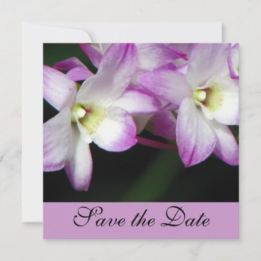 Invitation Orchidées pour Sauvegarder la Date (Devant)
