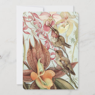 Invitation Orchidées tropicales vintage, fleurs et colibris