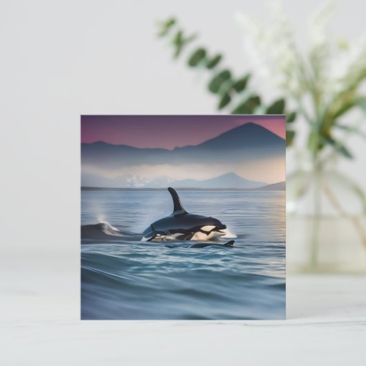 Invitation Orques De Mère Et De Bébé Dans L'Océan, (Debout devant)