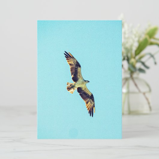 Invitation Osprey (Debout devant)