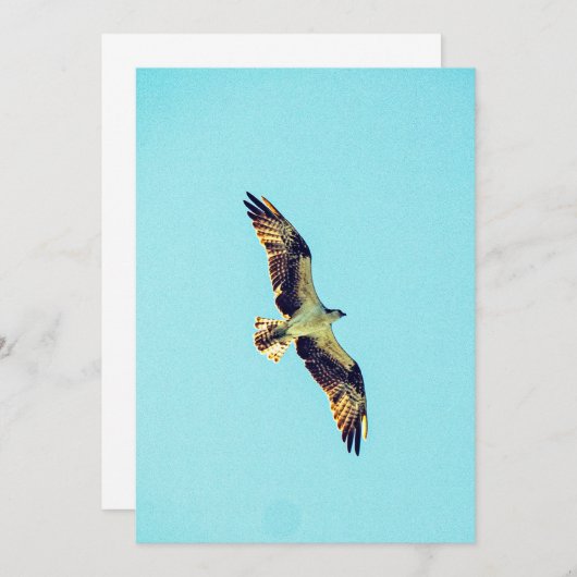 Invitation Osprey (Devant / Derrière)