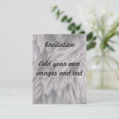 Invitation Ostrich Feathers (Debout devant)