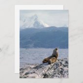 Invitation Otaries dans le canal beagle - Argentine (Devant / Derrière)