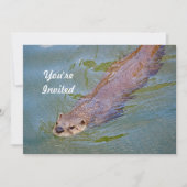 Invitation Otter Natation Faune Photo Anniversaire (Devant)