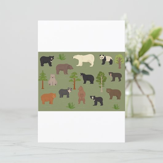 Invitation Ours du monde