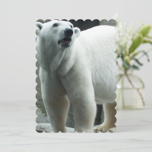 Invitation Ours polaire blanc (Debout devant)