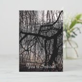 INVITATION OUVRIR DES ARBRES SAUVAGES (Debout devant)