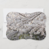 Invitation Owl Oiseaux Amour Branches Destin Destinée (Dos)