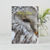 INVITATION OWLS (Debout devant)