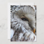 INVITATION OWLS (Devant)