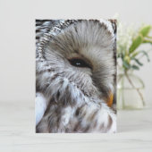 INVITATION OWLS (Debout devant)