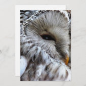 INVITATION OWLS (Devant / Derrière)