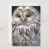 INVITATION OWLS (Devant)