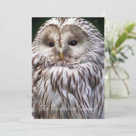 INVITATION OWLS (Debout devant)