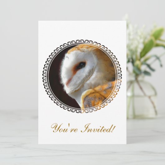 INVITATION OWLS (Debout devant)