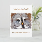 INVITATION OWLS (Debout devant)