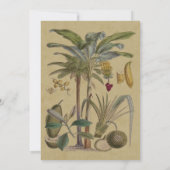 Invitation Palm Antique Fruit Tropical Art Botanique (Dos)