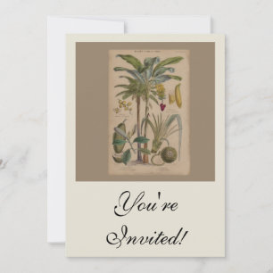 Invitation Palm Antique Fruit Tropical Art Botanique