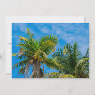 Invitation Palmiers tropicaux et noix de coco