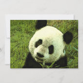 Invitation Panda (Devant)