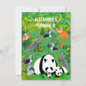 Invitation Pandas Lady Amherst's Pheasants Rouge Pandas Bambo (Devant)