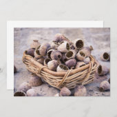 Invitation Panier des clous de girofle secs de cosse (Devant / Derrière)