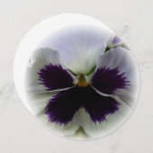 Invitation Pansement pourpre et blanc (Devant / Derrière)