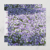 Invitation Pansy (Devant / Derrière)