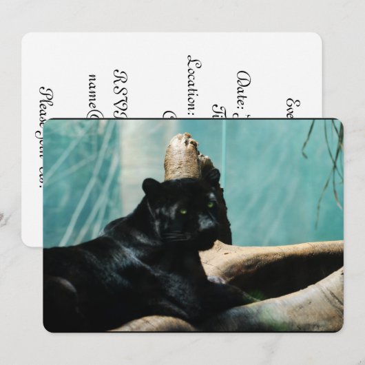 Invitation Panthère aux yeux percés (Devant / Derrière)