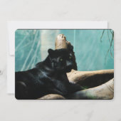 Invitation Panthère aux yeux percés (Devant)