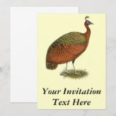 Invitation Paon : Congo Peahen (Devant / Derrière)
