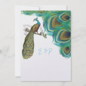 Invitation Paon Plumes Vintage avec Paon (Dos)