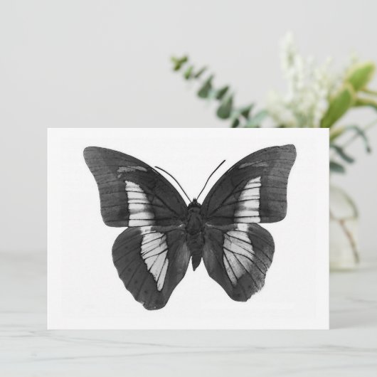 Invitation papillon (Debout devant)