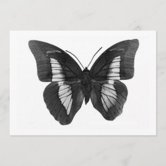 Invitation papillon