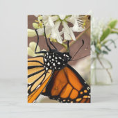 Invitation Papillon monarque (Debout devant)