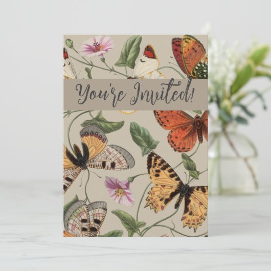 Invitation Papillon Moth Nature Collection Dessin (Debout devant)