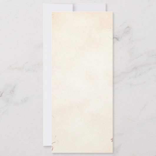 Invitation Papillon rose Dusty Enchanted Forest Scroll Baby (Dos)