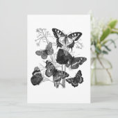 Invitation Papillons Noir et Blanc Vintage (Debout devant)