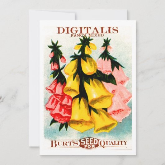 Invitation Paquet assorti de graine de digitale de digitale (Devant)