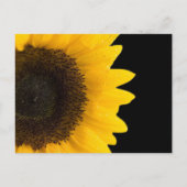 Invitation par carte postale Mariage de tournesol (Dos)