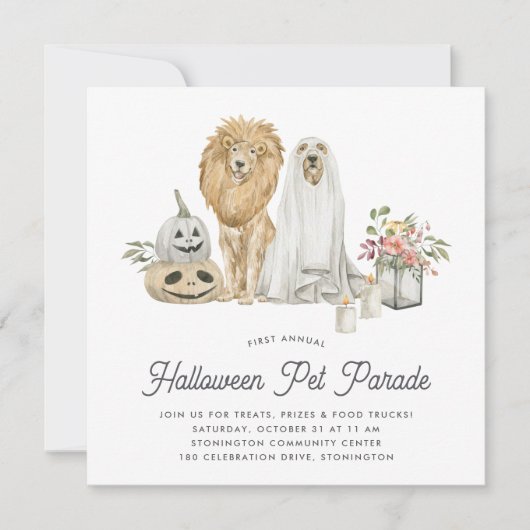 Invitation Parade pour animaux d'Halloween (Devant)