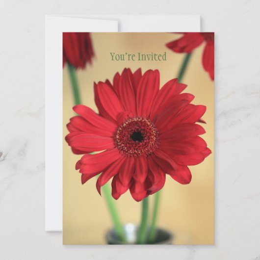 Invitation Parfaitement Joli (Devant)