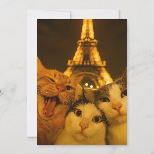 Invitation Paris Night Cat Selfie Squad Lover (Dos)