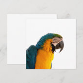 Invitation Parrot macaw (Devant / Derrière)